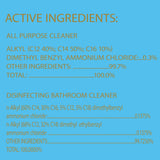 Clorox Disinfecting All-Purpose Cleaner and Disinfecting